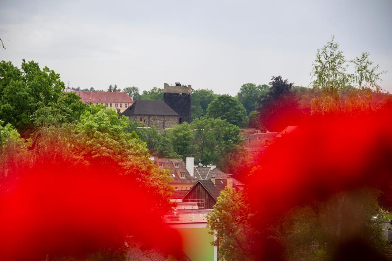 Penzion Cafe Na Svahu Cheb Bagian luar foto